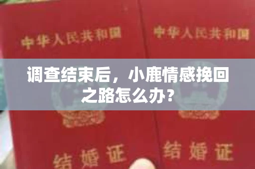 调查结束后，小鹿情感挽回之路怎么办？
