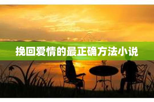 挽回爱情的最正确方法小说