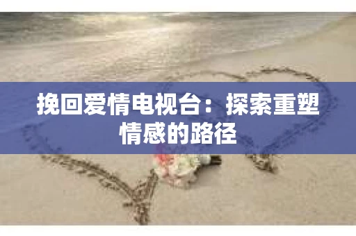 挽回爱情电视台：探索重塑情感的路径