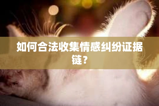 如何合法收集情感纠纷证据链？