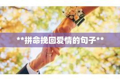 **拼命挽回爱情的句子**
