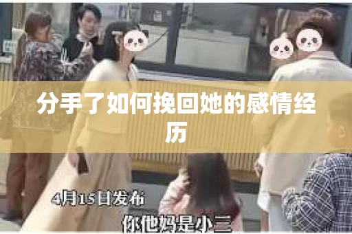 分手了如何挽回她的感情经历