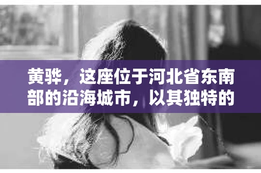 黄骅，这座位于河北省东南部的沿海城市，以其独特的地理位置和丰富的历史文化而闻名。然而，在这座城市中，还有一群人，他们以另一种方式默默守护着社会的公平与正义——私家侦探。今天，我们就来聊聊黄骅的私家侦探，看看他们是如何在这个城市中发挥作用的。