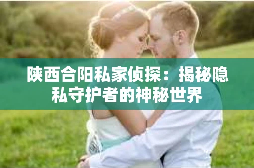 陕西合阳私家侦探：揭秘隐私守护者的神秘世界