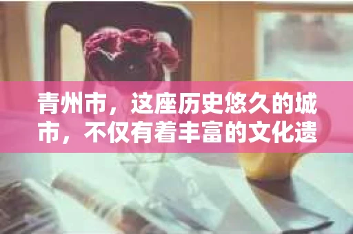 青州市，这座历史悠久的城市，不仅有着丰富的文化遗产，也有着现代生活的便捷。那么，问题来了——青州市有私家侦探公司吗？这个问题，对于需要侦探服务的人来说，无疑至关重要。接下来，我就来为大家揭开这个谜底。