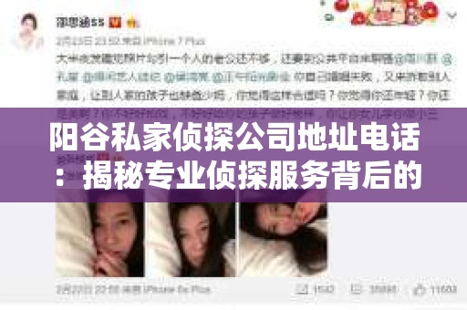 阳谷私家侦探公司地址电话：揭秘专业侦探服务背后的故事