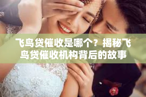 飞鸟贷催收是哪个？揭秘飞鸟贷催收机构背后的故事