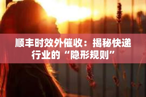 顺丰时效外催收：揭秘快递行业的“隐形规则”