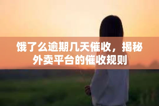 饿了么逾期几天催收，揭秘外卖平台的催收规则
