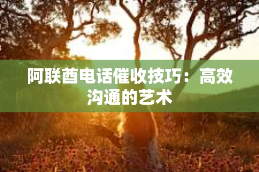 阿联酋电话催收技巧：高效沟通的艺术