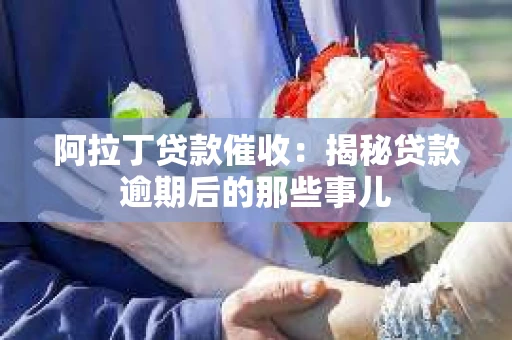 阿拉丁贷款催收：揭秘贷款逾期后的那些事儿