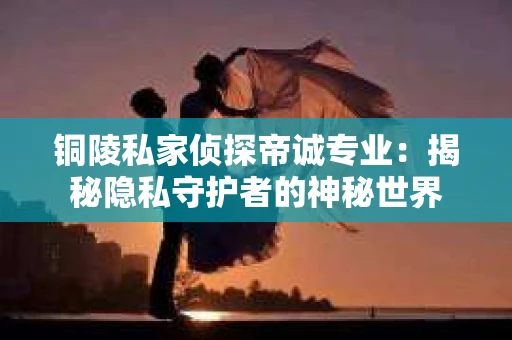 铜陵私家侦探帝诚专业：揭秘隐私守护者的神秘世界