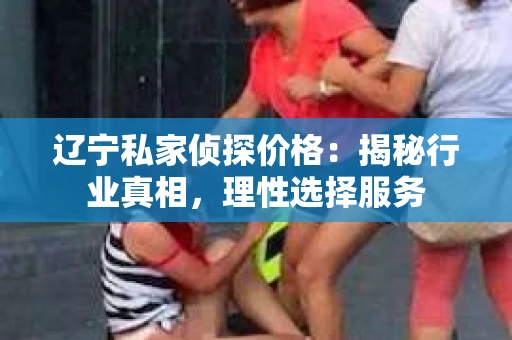 辽宁私家侦探价格：揭秘行业真相，理性选择服务