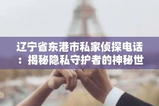 辽宁省东港市私家侦探电话：揭秘隐私守护者的神秘世界