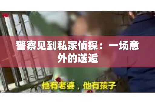 警察见到私家侦探：一场意外的邂逅