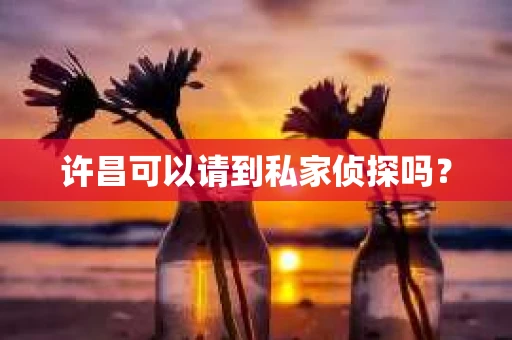 许昌可以请到私家侦探吗？