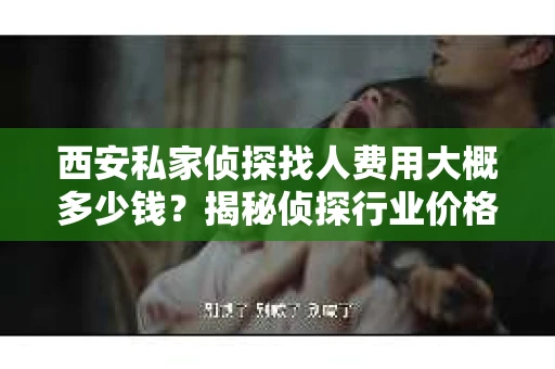 西安私家侦探找人费用大概多少钱？揭秘侦探行业价格之谜