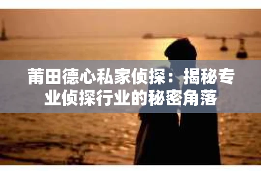 莆田德心私家侦探：揭秘专业侦探行业的秘密角落