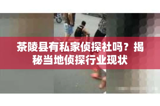 茶陵县有私家侦探社吗？揭秘当地侦探行业现状