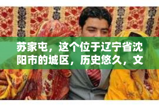 苏家屯，这个位于辽宁省沈阳市的城区，历史悠久，文化底蕴深厚。近年来，随着社会的发展，人们对于私家侦探的需求也逐渐增加。那么，苏家屯有私家侦探吗？今天，我们就来聊聊这个话题。
