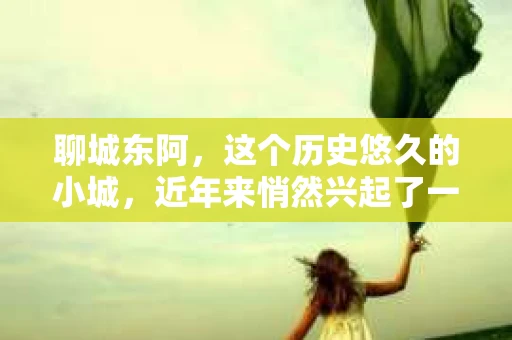 聊城东阿，这个历史悠久的小城，近年来悄然兴起了一股新的服务潮流——私家侦探。今天，我们就来聊聊这个话题，看看在聊城东阿，私家侦探是如何成为人们生活中的一部分的。