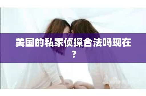 美国的私家侦探合法吗现在？