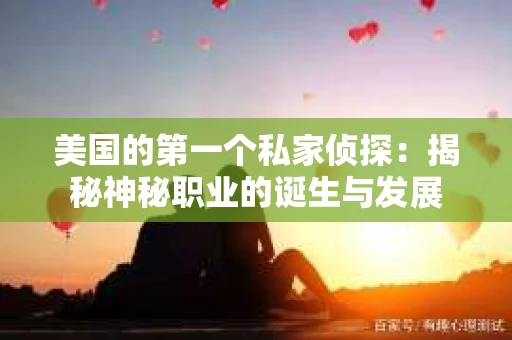 美国的第一个私家侦探：揭秘神秘职业的诞生与发展
