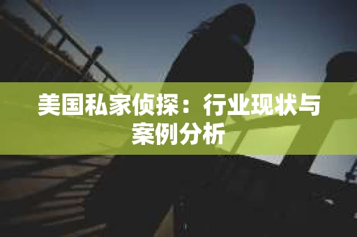 美国私家侦探：行业现状与案例分析