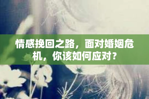情感挽回之路，面对婚姻危机，你该如何应对？