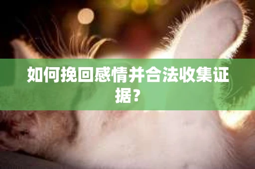 如何挽回感情并合法收集证据？