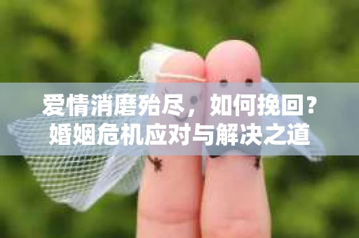 爱情消磨殆尽，如何挽回？婚姻危机应对与解决之道