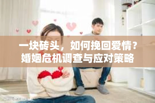 一块砖头，如何挽回爱情？婚姻危机调查与应对策略