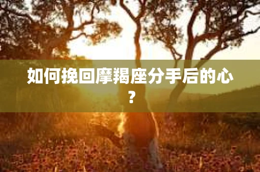 如何挽回摩羯座分手后的心？