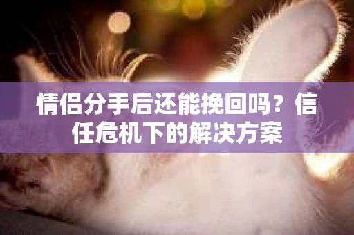 情侣分手后还能挽回吗？信任危机下的解决方案