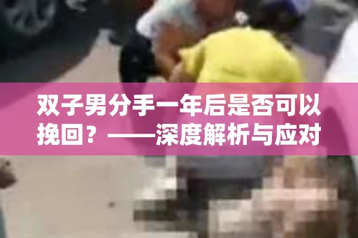 双子男分手一年后是否可以挽回？——深度解析与应对策略